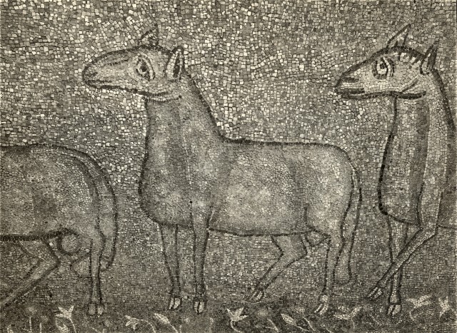 Zigrossi, Giuseppe — Anonimo romano sec. IX - S. Marco Evangelista al Campidoglio, mosaico del catino absidale: agnelli — particolare